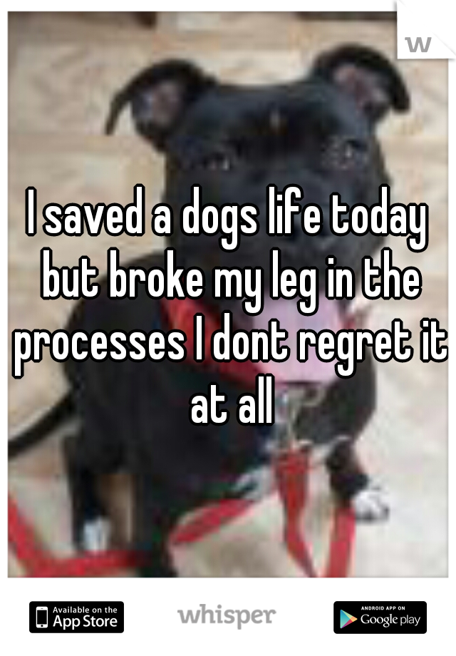 I saved a dogs life today but broke my leg in the processes I dont regret it at all