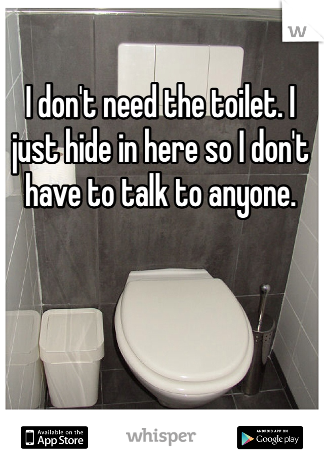 I don't need the toilet. I just hide in here so I don't have to talk to anyone. 