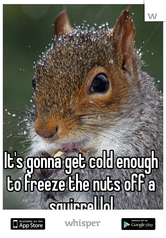 It's gonna get cold enough to freeze the nuts off a squirrel lol