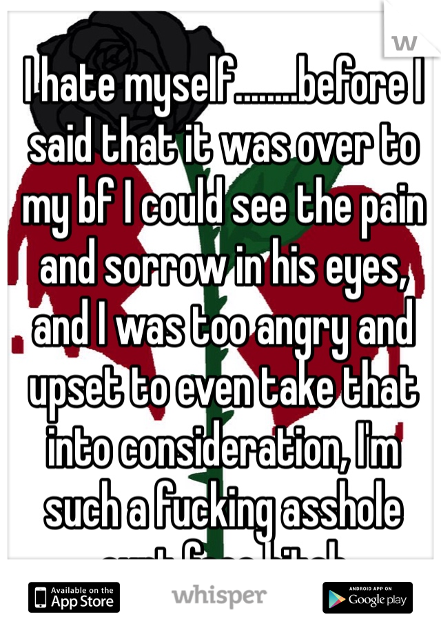 I hate myself........before I said that it was over to my bf I could see the pain and sorrow in his eyes, and I was too angry and upset to even take that into consideration, I'm such a fucking asshole cunt face bitch