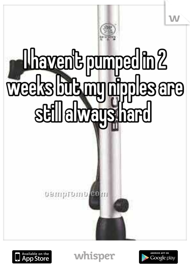 I haven't pumped in 2 weeks but my nipples are still always hard 