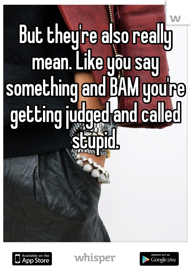 But they're also really mean. Like you say something and BAM you're getting judged and called stupid. 