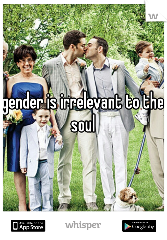 gender is irrelevant to the soul 