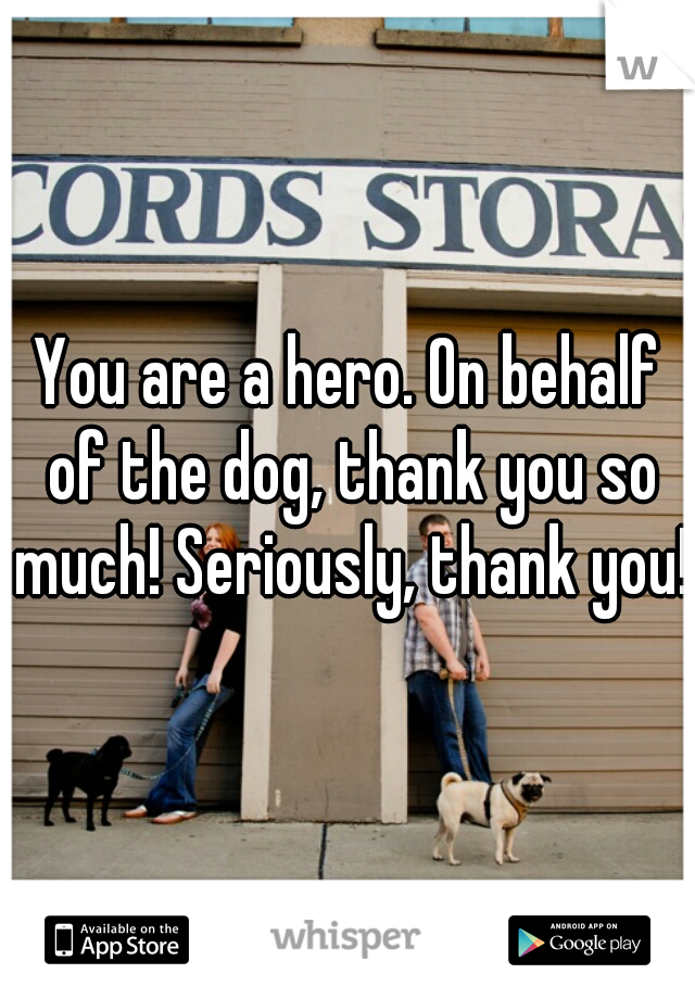 You are a hero. On behalf of the dog, thank you so much! Seriously, thank you!