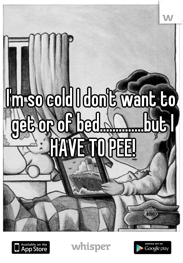 I'm so cold I don't want to get or of bed..............but I HAVE TO PEE!