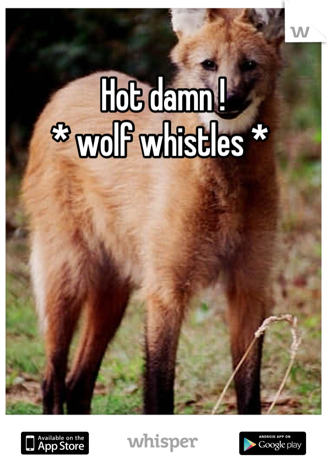 Hot damn ! 
* wolf whistles * 