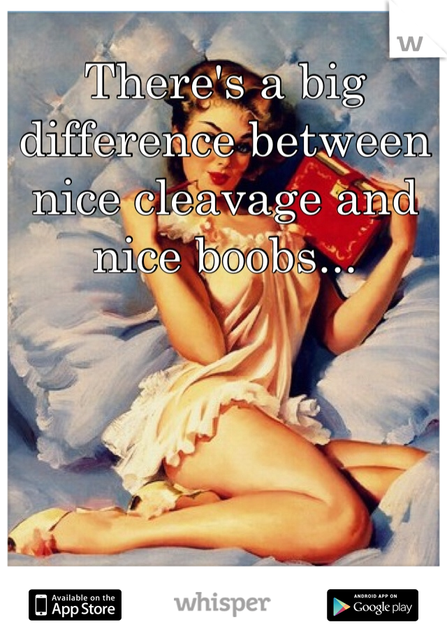 There's a big difference between nice cleavage and nice boobs...