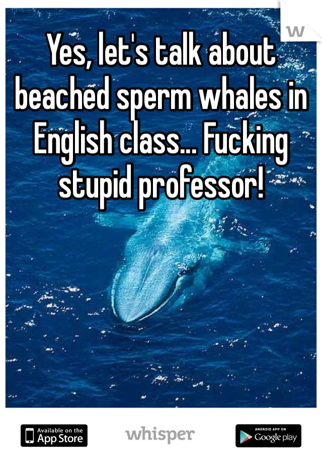 Yes, let's talk about beached sperm whales in English class... Fucking stupid professor!