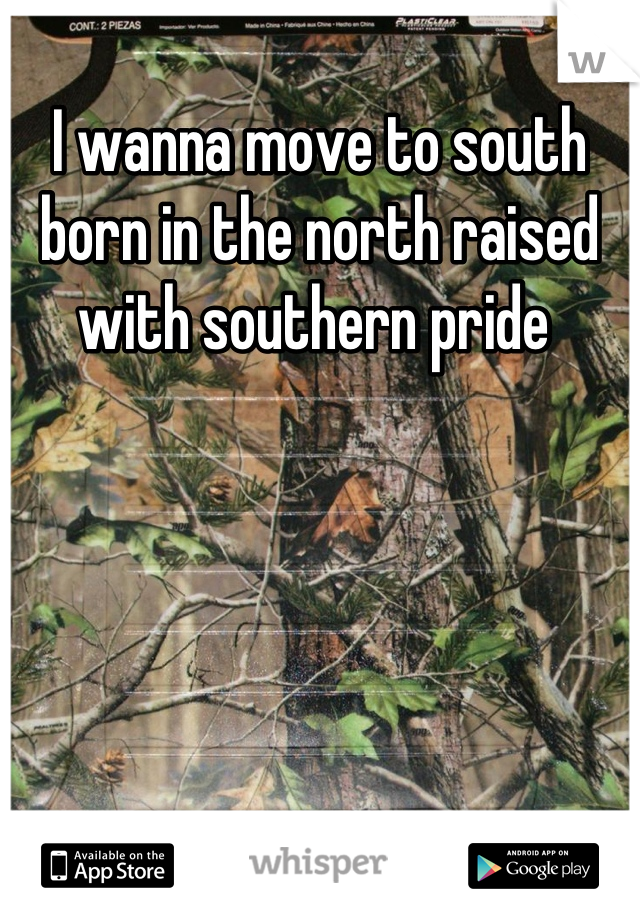 I wanna move to south born in the north raised with southern pride 