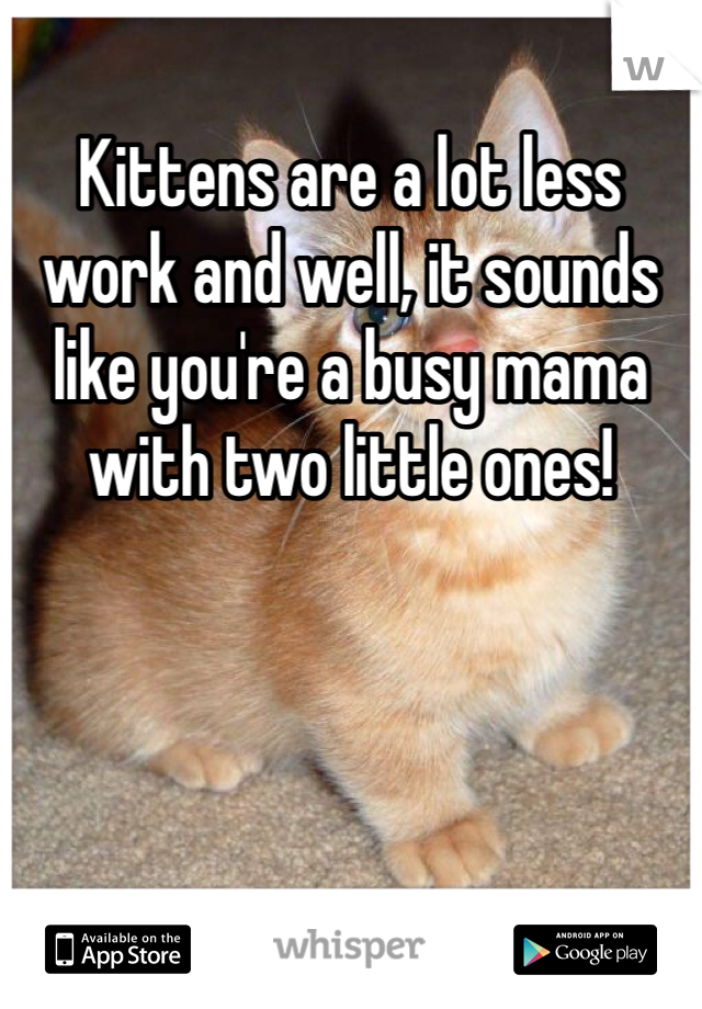 Kittens are a lot less work and well, it sounds like you're a busy mama with two little ones!