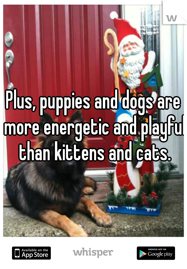 Plus, puppies and dogs are more energetic and playful than kittens and cats.