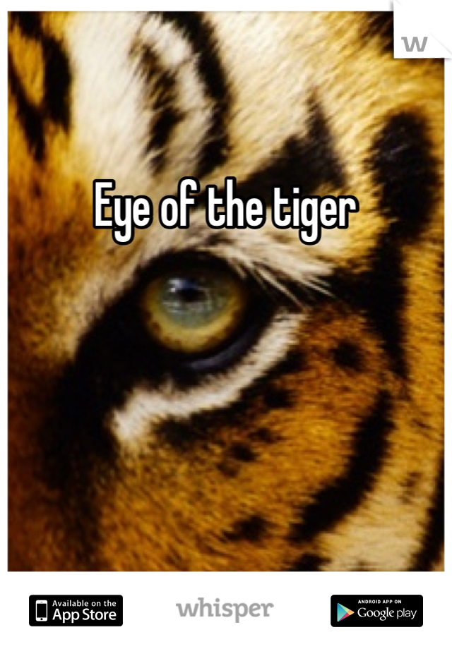 Eye of the tiger 