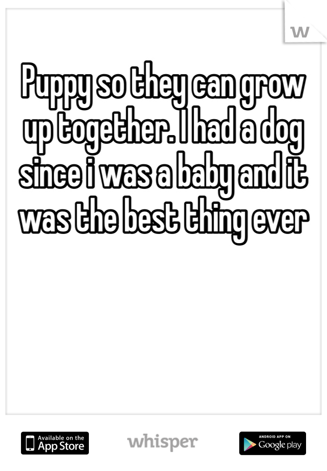Puppy so they can grow up together. I had a dog since i was a baby and it was the best thing ever