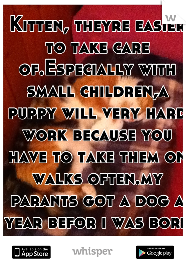 Kitten, theyre easier to take care of.Especially with small children,a puppy will very hard work because you have to take them on walks often.my parants got a dog a year befor i was born and had stress