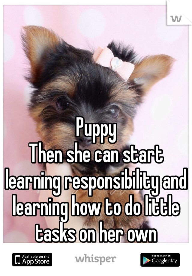 Puppy 
Then she can start learning responsibility and learning how to do little tasks on her own 