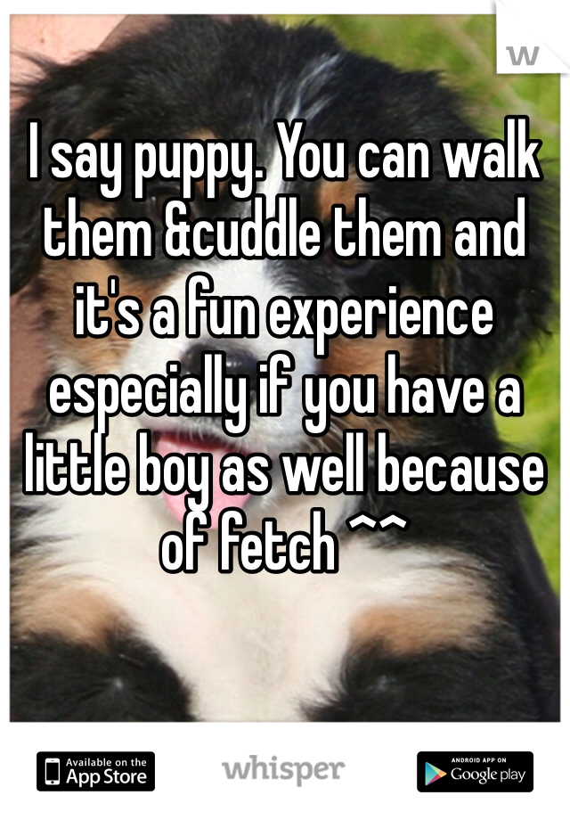 I say puppy. You can walk them &cuddle them and it's a fun experience especially if you have a little boy as well because of fetch ^^ 