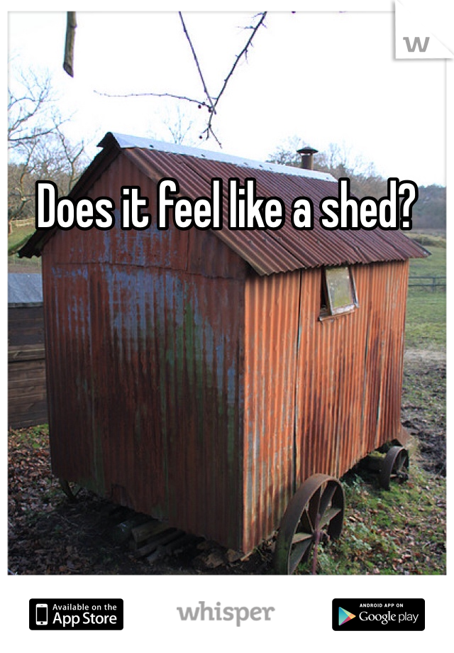 Does it feel like a shed?