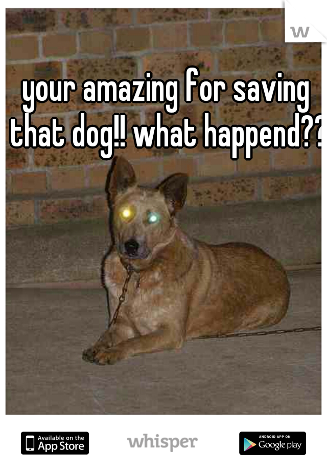 your amazing for saving that dog!! what happend?? 