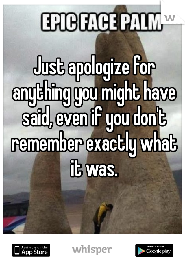 Just apologize for anything you might have said, even if you don't remember exactly what it was. 