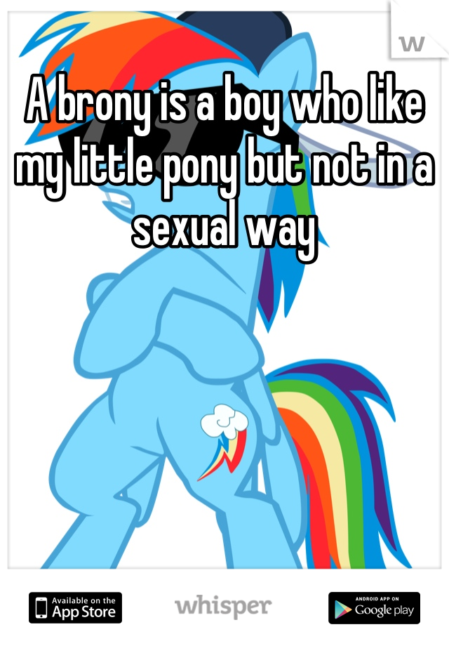 A brony is a boy who like my little pony but not in a sexual way