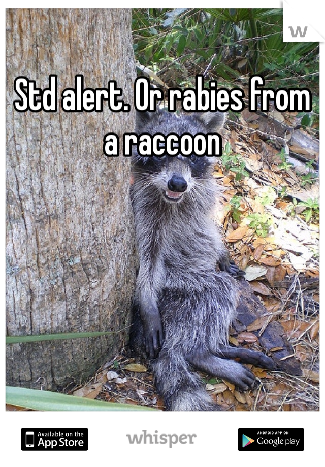 Std alert. Or rabies from a raccoon