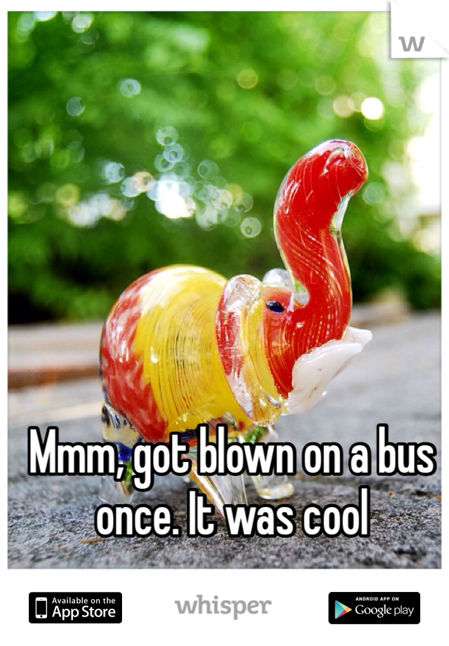 Mmm, got blown on a bus once. It was cool
