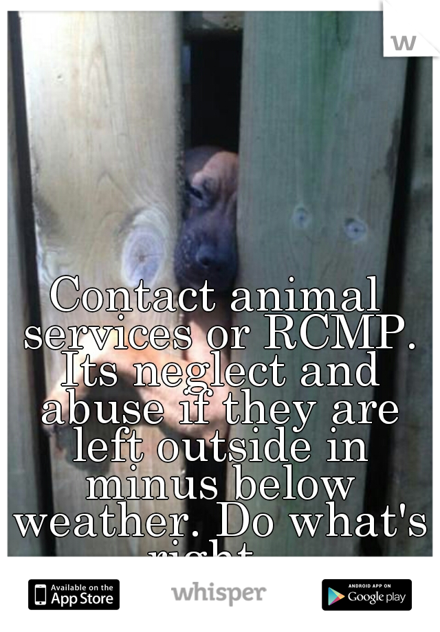 Contact animal services or RCMP. Its neglect and abuse if they are left outside in minus below weather. Do what's right.  