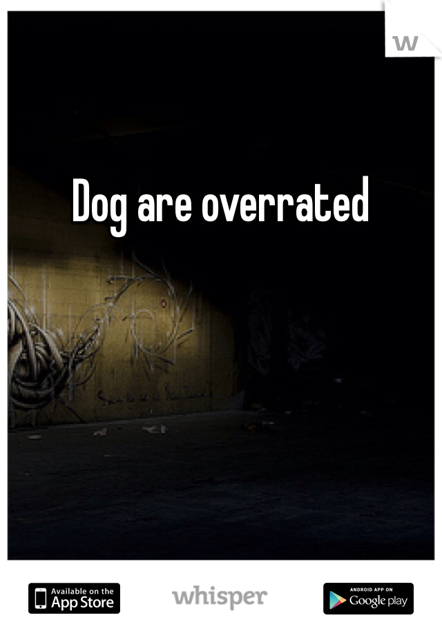 Dog are overrated 