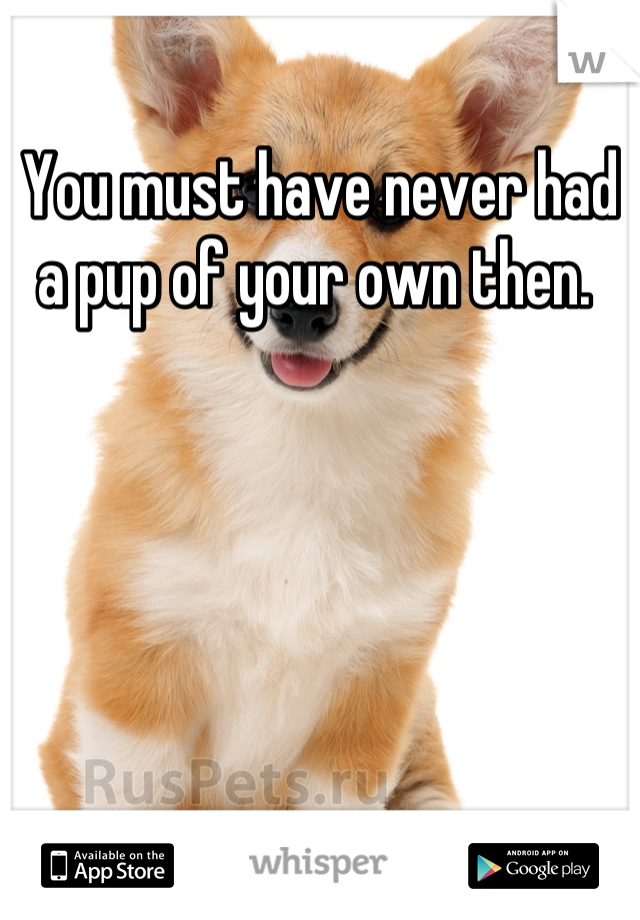 You must have never had a pup of your own then. 