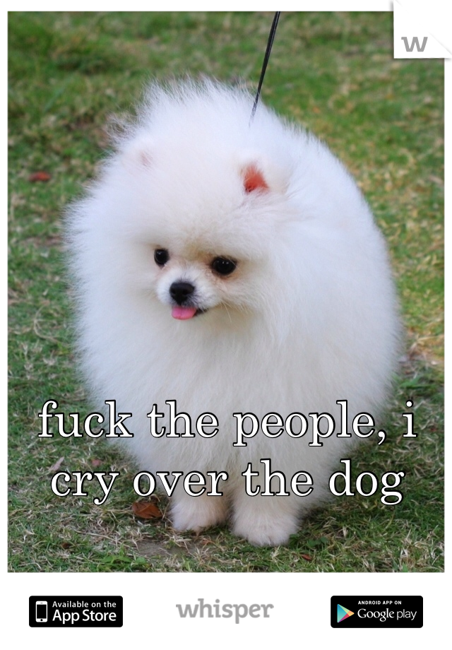 fuck the people, i cry over the dog