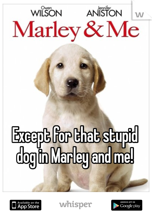 Except for that stupid dog in Marley and me!
