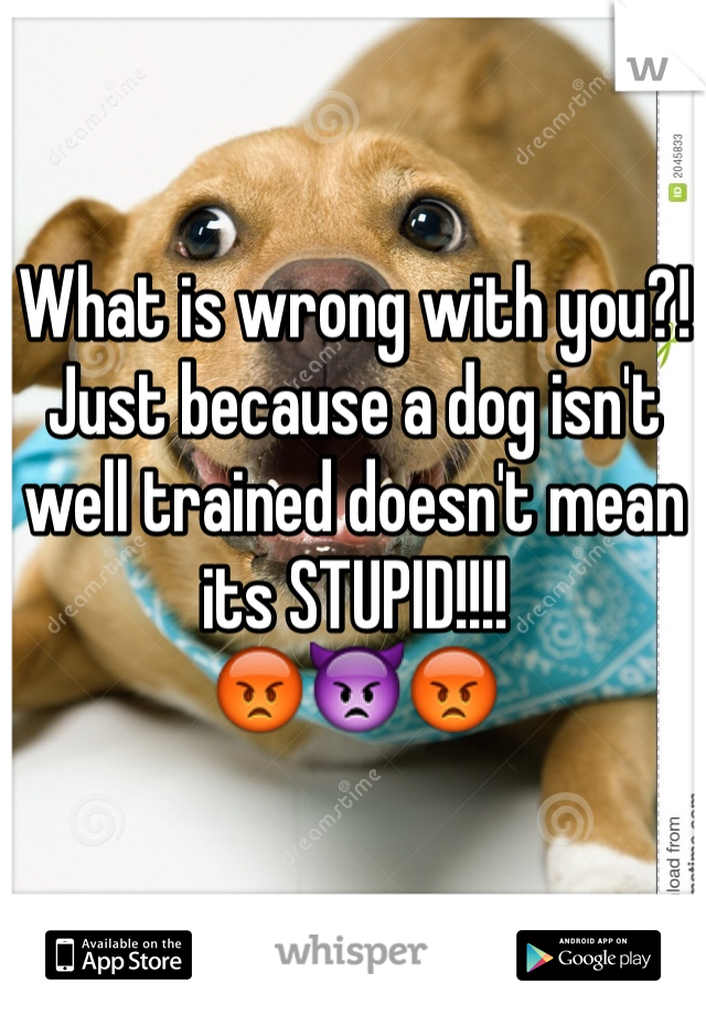 What is wrong with you?! Just because a dog isn't well trained doesn't mean its STUPID!!!! 
😡👿😡