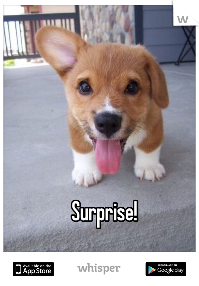 Surprise!