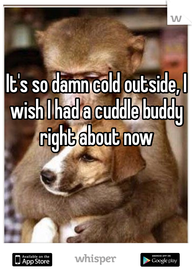 It's so damn cold outside, I wish I had a cuddle buddy right about now