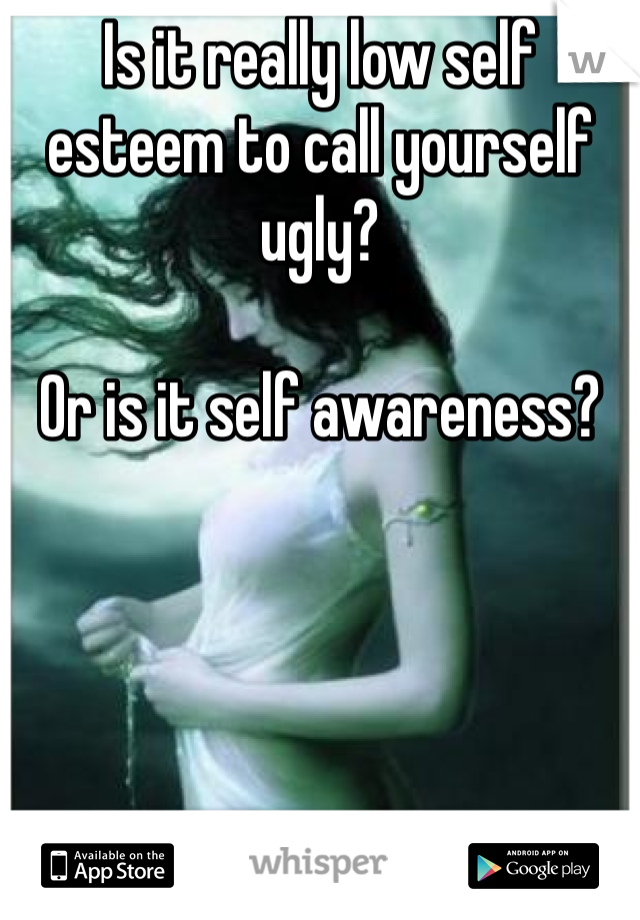 Is it really low self esteem to call yourself ugly? 

Or is it self awareness? 