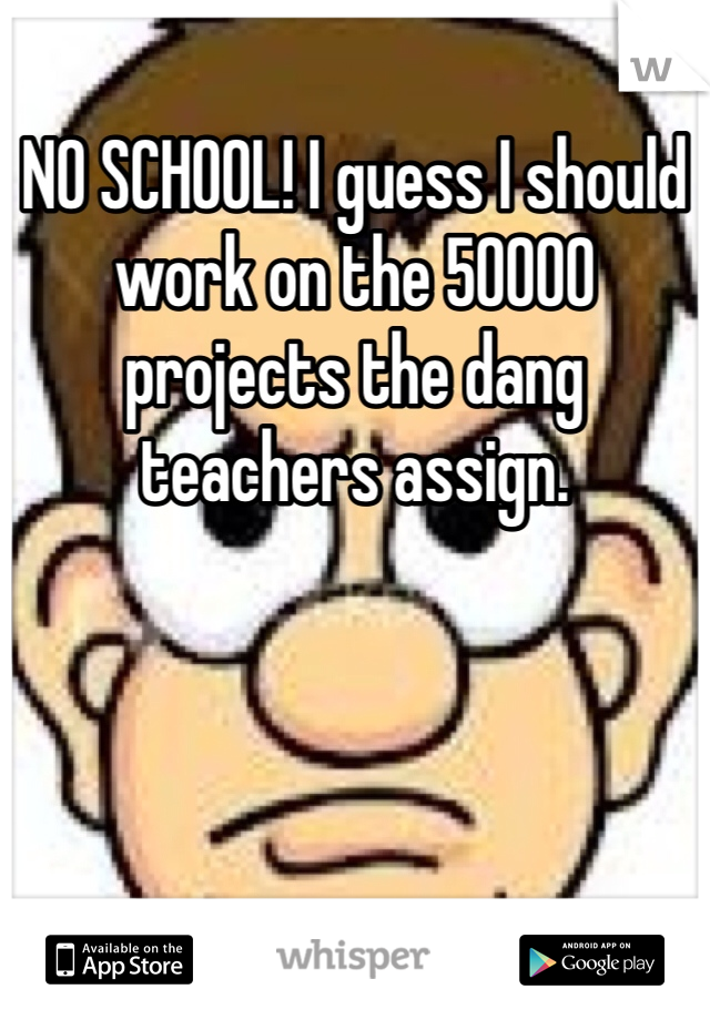 NO SCHOOL! I guess I should work on the 50000 projects the dang teachers assign.