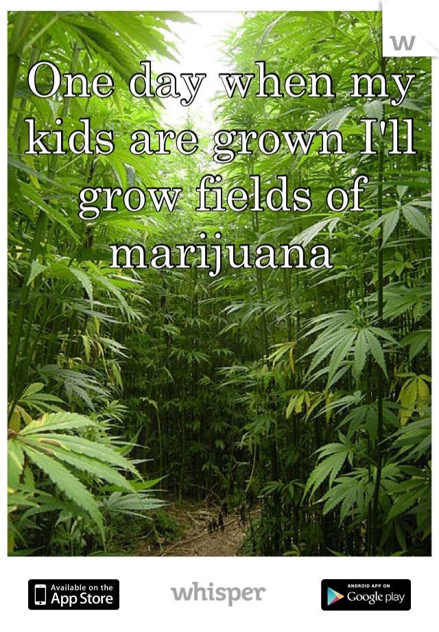 One day when my kids are grown I'll grow fields of marijuana 