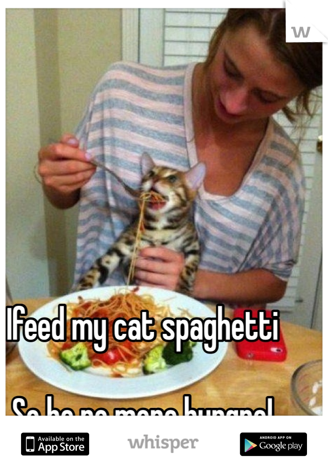 Ifeed my cat spaghetti

So he no more hungre!