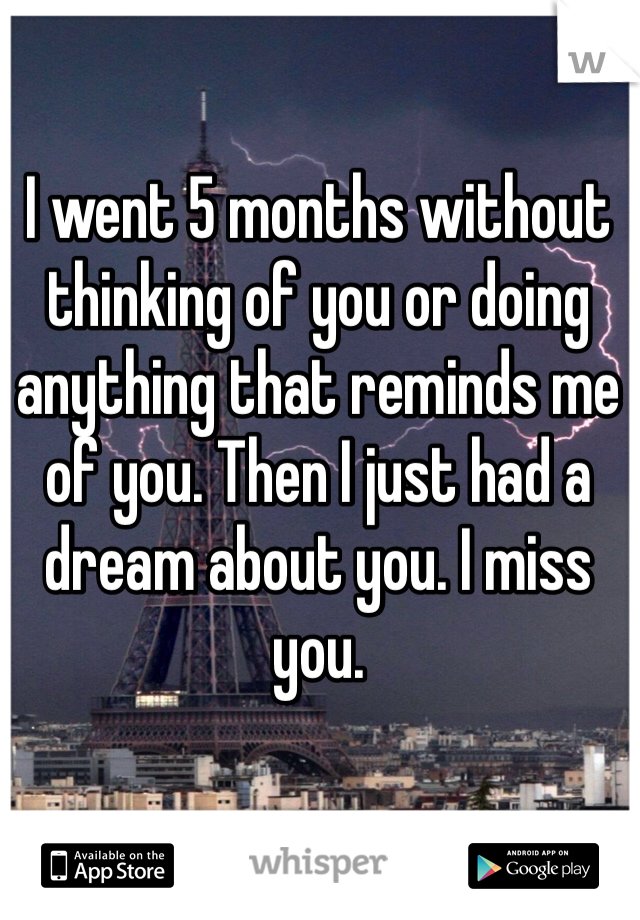 I went 5 months without thinking of you or doing anything that reminds me of you. Then I just had a dream about you. I miss you. 