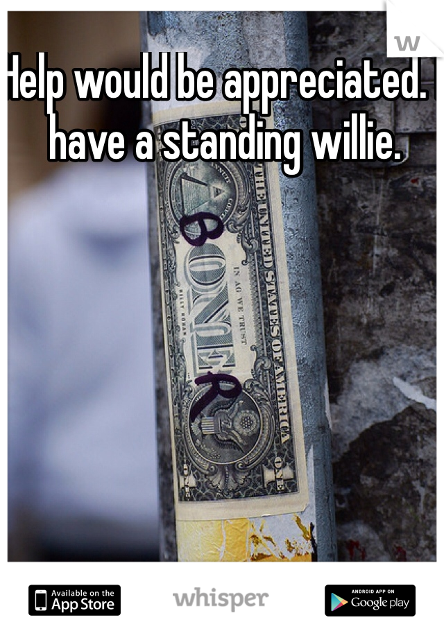 Help would be appreciated. I have a standing willie. 