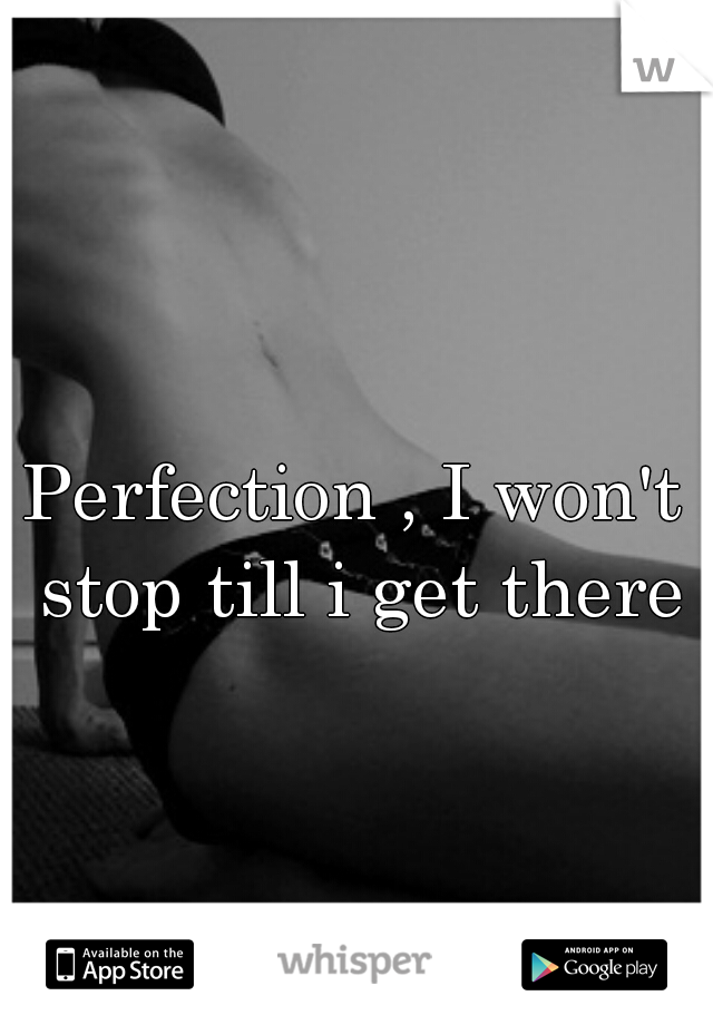 Perfection , I won't stop till i get there.
