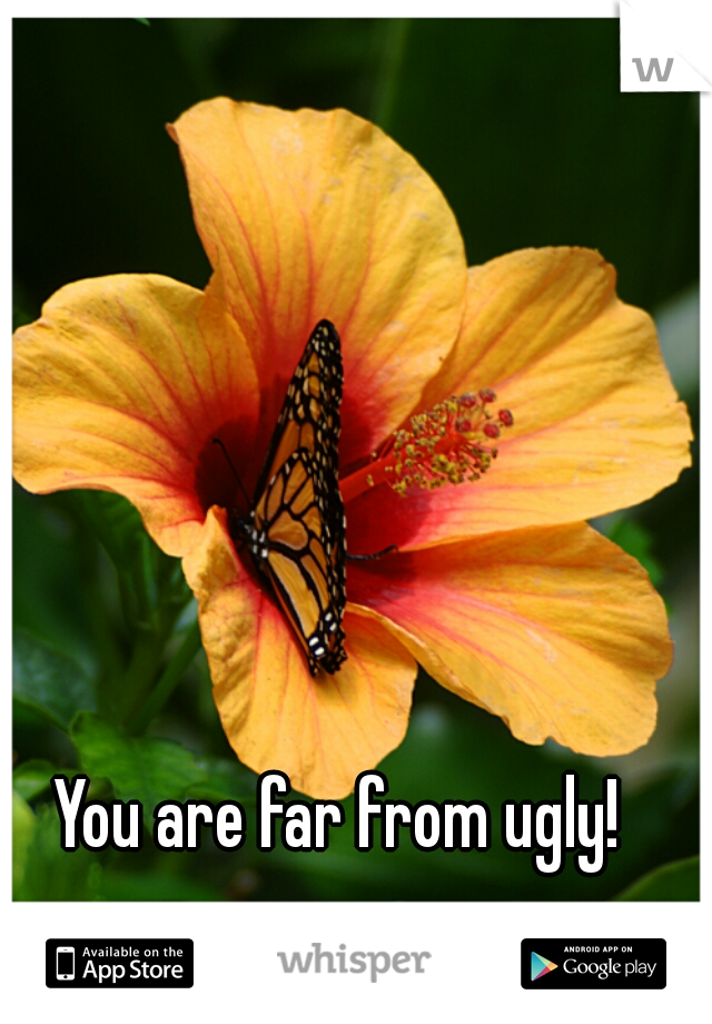 You are far from ugly!