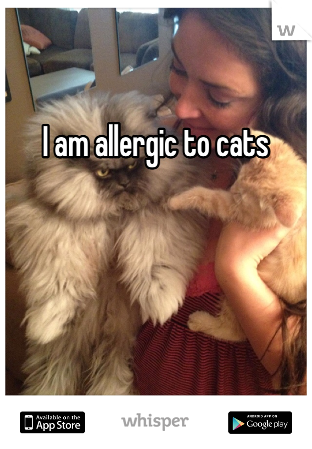 I am allergic to cats 