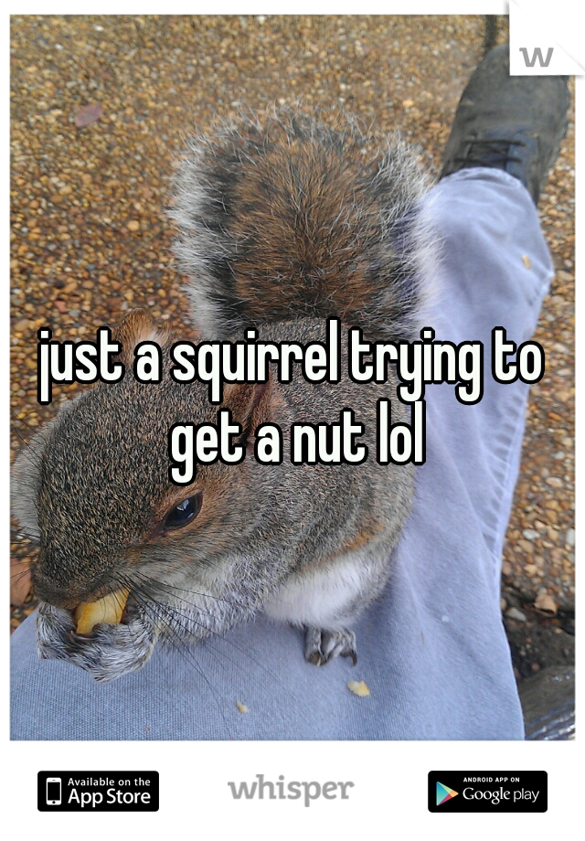 just a squirrel trying to get a nut lol