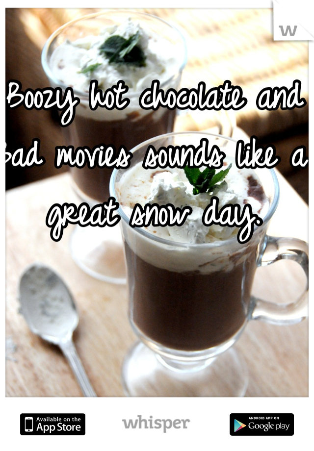 Boozy hot chocolate and 
Bad movies sounds like a great snow day. 