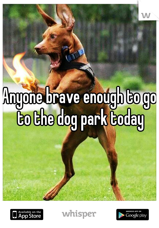 Anyone brave enough to go to the dog park today