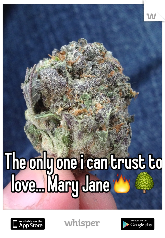 The only one i can trust to love... Mary Jane🔥🌳