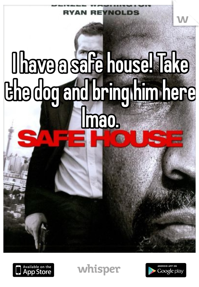 I have a safe house! Take the dog and bring him here lmao.