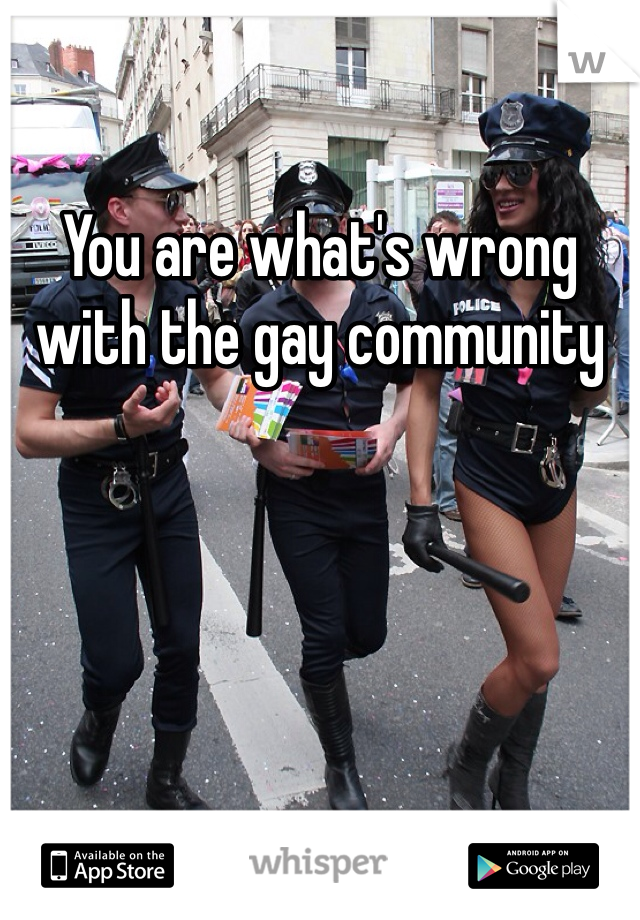 You are what's wrong with the gay community