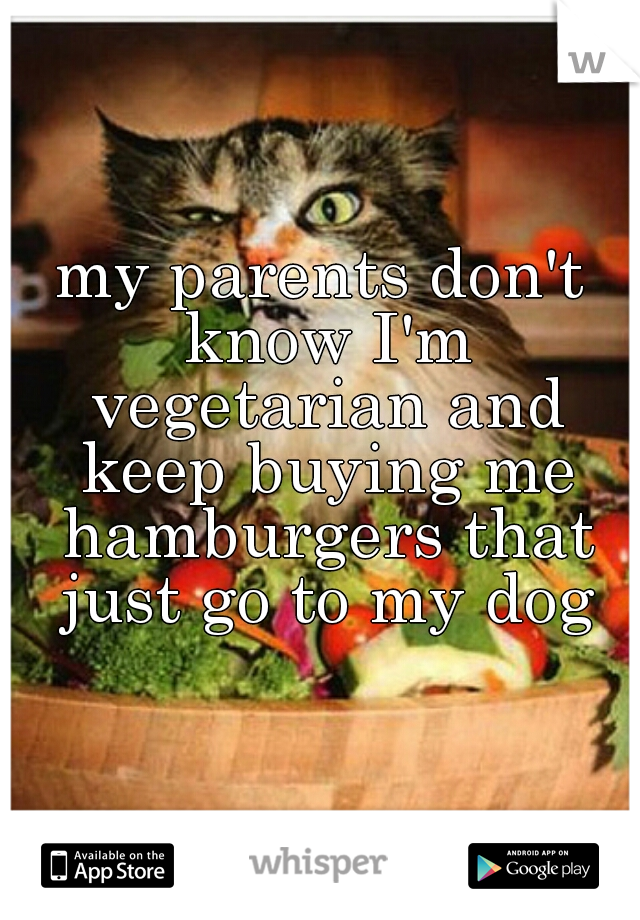 my parents don't know I'm vegetarian and keep buying me hamburgers that just go to my dog
